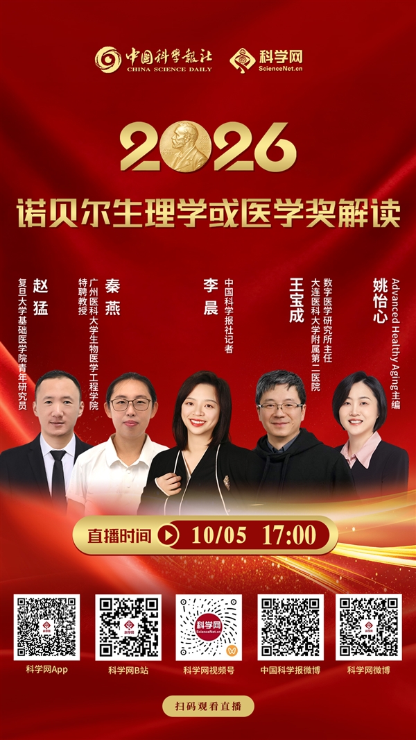 2025年儿歌下载全指南：从平台选择到批量管理