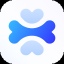 Apidog Europe